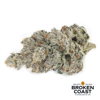 Broken Coast - Quadra Indica - 3.5g
